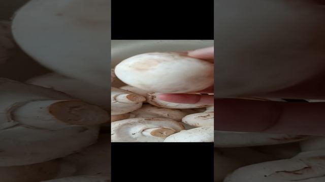 Сонник Сон о грибах смотреть онлайн