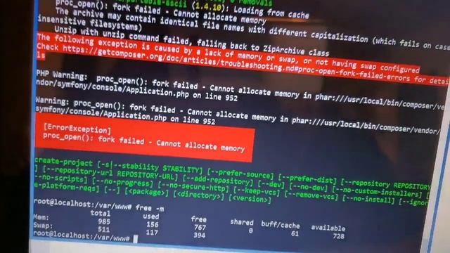 Laravel Fail Install - Cannot Fork Proc_open() cannot allocate memory смотреть онлайн