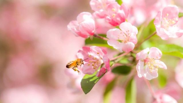 Вибрационная стена. Как научиться гармонично взаимодействовать с различными людьми.