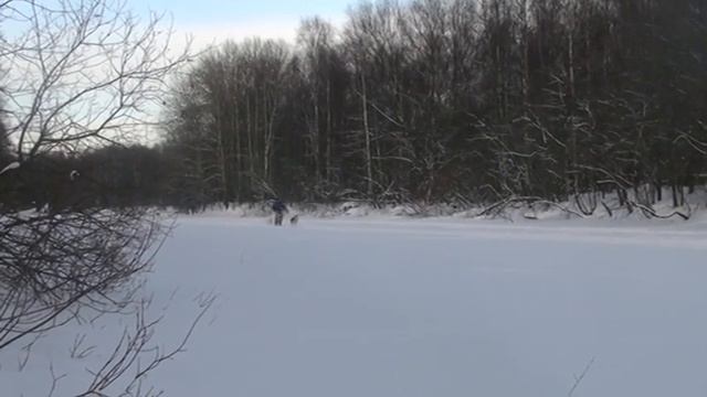 тренировка, 4,5 км, финишь смотреть онлайн