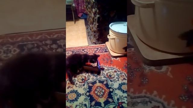 9 января 2018 г. смотреть онлайн