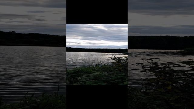 20230726_195027.mp4