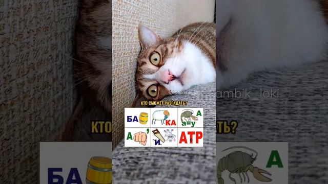 ПОМОГИТЕ КОТИКУ РАЗГАДАТЬ РЕБУСЫ? #котики #shorts смотреть онлайн