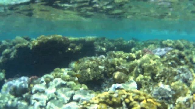 Египет Шарм-Аль-Щейх 2022 смотреть онлайн