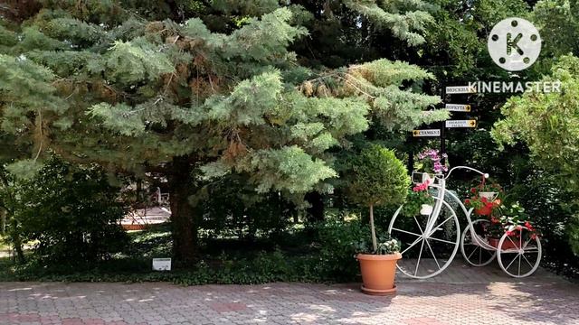 Алушта. Санаторий 