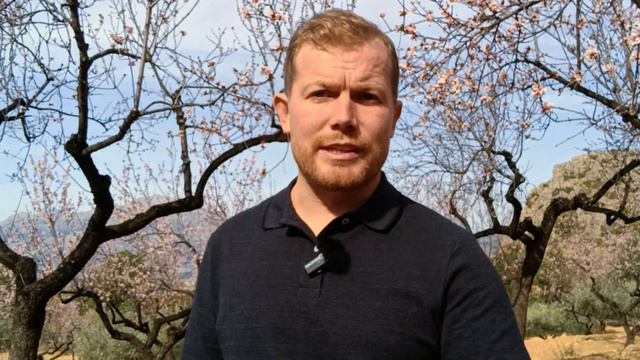 Скрытые налоговые ловушки при покупке недвижимости в Испании | Важная информация! смотреть онлайн