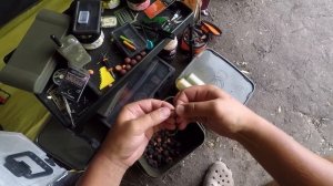 Карповая ловля летом. Высокополье