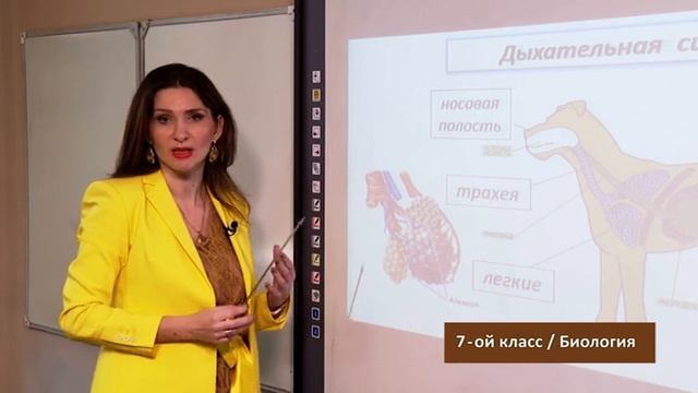 “Dərs vaxtı”: 7-ci sinif dərsləri ( rus bölməsi) (28.05.2020) смотреть онлайн