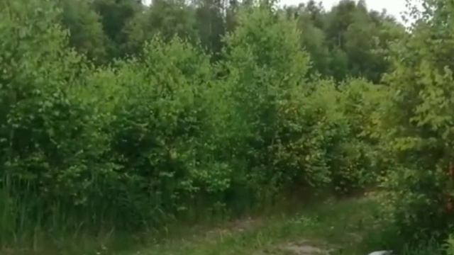 Поход дикарями с палаткой. Карьеры, Орехово-Зуево. Купальская ночь. Красота! смотреть онлайн