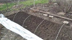 Как и когда сажать семена томатов на рассаду в парник.