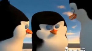 Пингвины из Мадагаскара!!! ПЕРЕОЗВУЧКА