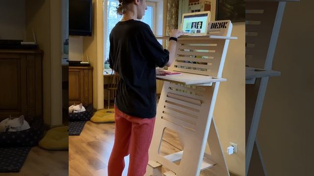 Компактное рабочее место Stayhome Desk