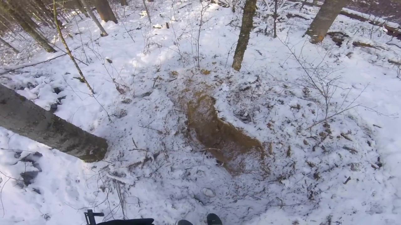 охота на кабанов с рабочими собаками в глухой тайге.wild boar hunting with dogs смотреть онлайн