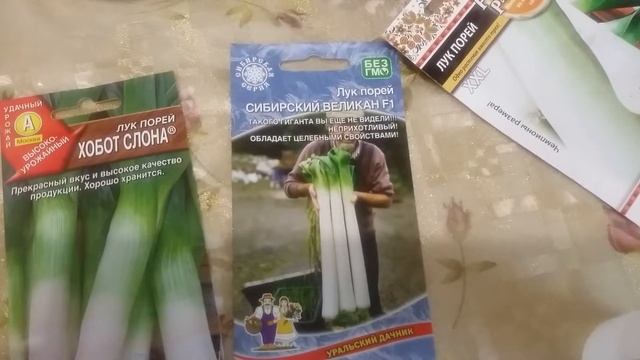 Как посадить лук порей в улитки новым способом, и как обрезать рассаду лука. смотреть онлайн