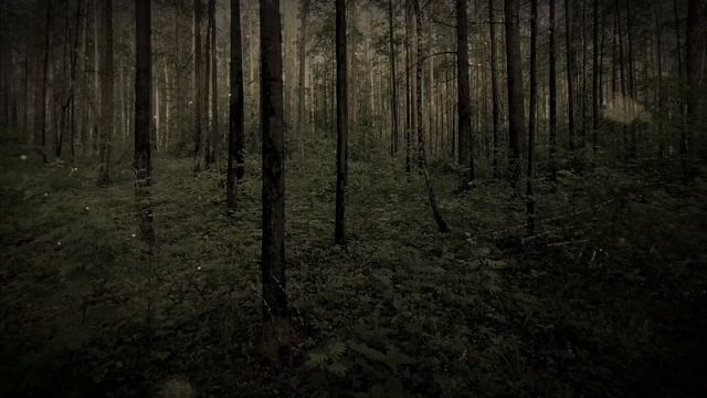 Расслабляющее пение птиц. Успокаивающие звуки природы. Для сна. Релаксация. смотреть онлайн