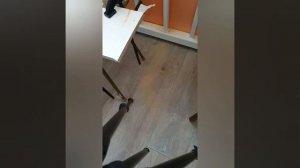 Сможет ли лобзик распилить доску лдсп без сколов?? Наглядный пример.