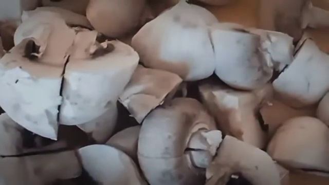 Маринованные грибы с луком смотреть онлайн