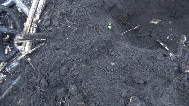 ОБНАРУЖИЛ ТАКОЕ У ЦЕРКВИ ЧТО ВОЛОСЫ ВСТАЛИ ДЫБОМ! смотреть онлайн