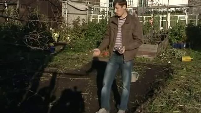 SADOVICHKOV.RU | Овес посевной Скакун 1 кг смотреть онлайн