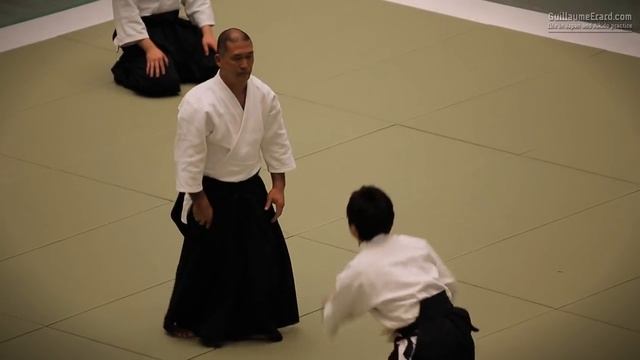 53-я Всеяпонская демонстрация айкидо (2015). Эцудзи Хории