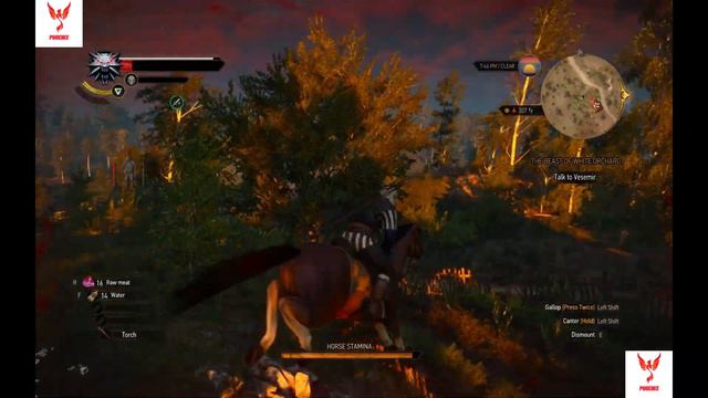CAN I KILL THE GRIFFIN!!!! THE WITCHER 3: WILD HUNT GAMEPLAY #5 смотреть онлайн