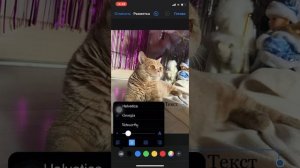 Как сделать надпись на фото в айфоне