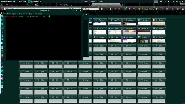 Поиск данных о домене через Dmitry в Kali Linux 2 смотреть онлайн
