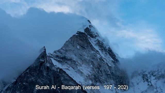 Surah Al Baqarah Verses(197-202) Quran Urdu Translation Short Clips смотреть онлайн
