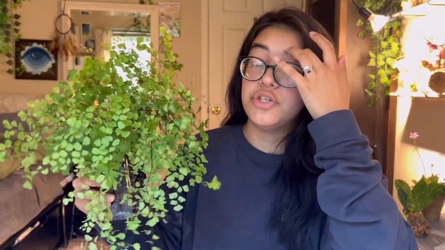 The 10 Fastest Growing Houseplants in My Collection смотреть онлайн
