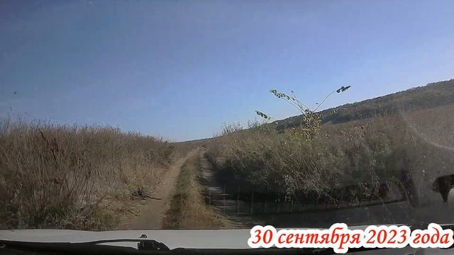 В Большую Ивановку за карасями Саратовская область 30 сентября 2023 года смотреть онлайн