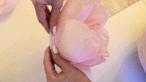 пион из гофрированой бумаги настенный)