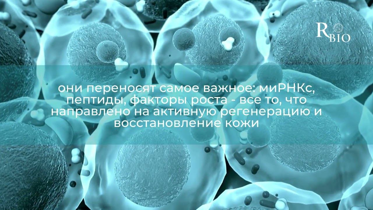 Exosomes Rejusome - Экзосомы для косметологии смотреть онлайн