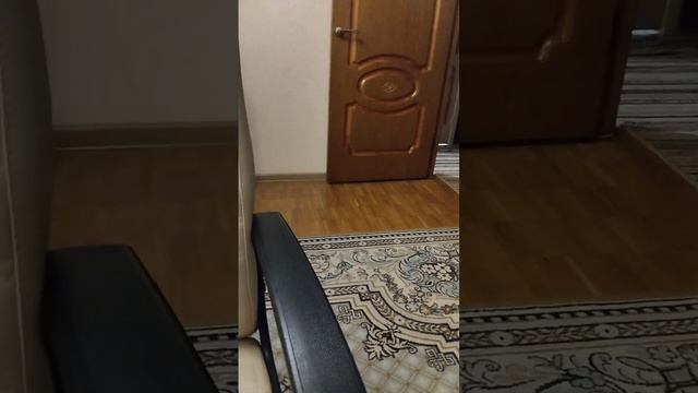 моя третья запись того что я дома (мой второй канал моего подруги?@Ivleeva подпишись! смотреть онлайн