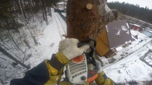 Удаление сухого дерева частями в московской области