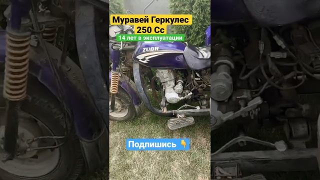 Муравей Геркулес 250 KV 250 Трицыкл 250 кубов Китайский Трицикл 250 кубов от компании МоТТор смотреть онлайн