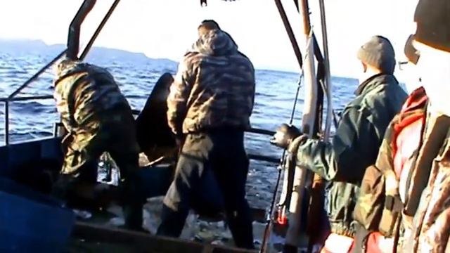 БАРЕНЦЕВО МОРЕ. "ТЕРИБЕРКА". РЫБАЛКА. смотреть онлайн