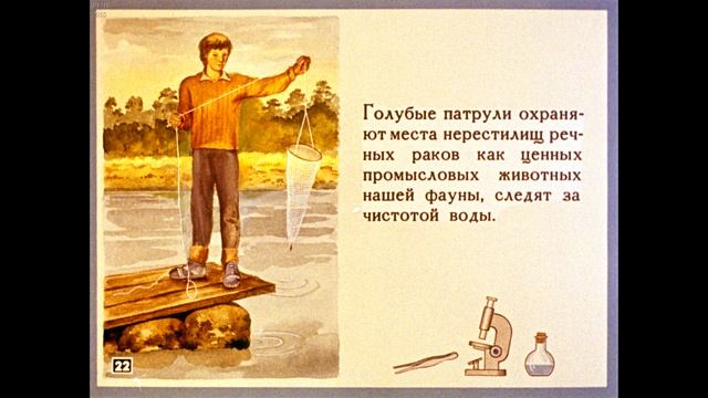 Диафильм Классы ракообразные и паукообразные /по биологии для 7 класса/ смотреть онлайн