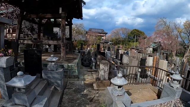 Традиционные японские дома. Японские храмы. Цветущие сакуры. смотреть онлайн