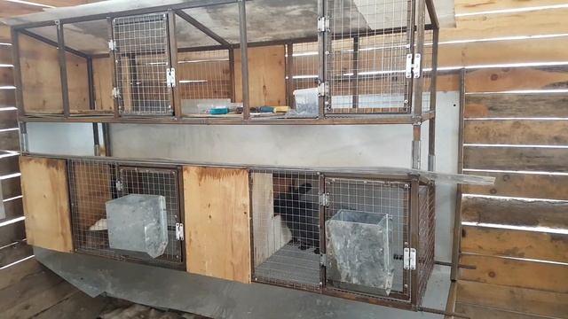 Клетки для кроликов. Уличное содержание. смотреть онлайн