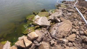 Крутая рыбалка. Озеро белое Ставропольский край #разнообразиерыбки #белоеозеро