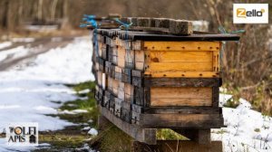 #Рахматулин Д.К. Организация зимовки пчел