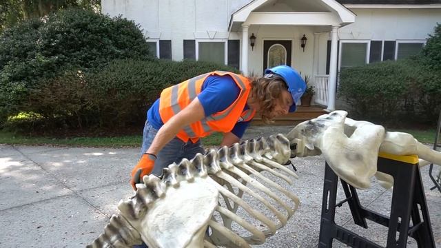 Handyman Hal Halloween | Halloween Fun 12 foot Skeleton | Handyman Hal Fun Videos for Kids смотреть онлайн
