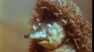 Ежик должен быть колючим