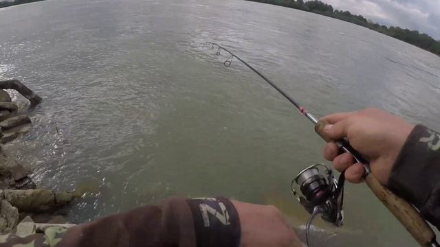 ЛОВЛЯ ЧЕХОНИ НА СПИННИНГ. РЕКА КУБАНЬ смотреть онлайн