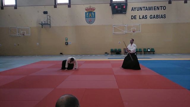 César Febles 7º Dan Aikido- Jo Nage Morote Dori смотреть онлайн