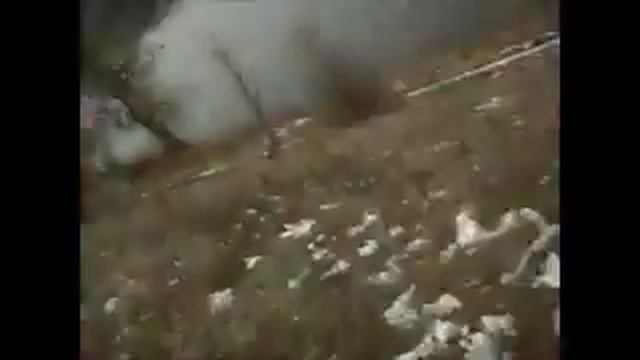 Рыбалка в ЛНР смотреть онлайн