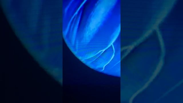 Доктор Айболит читаю сказку смотреть онлайн