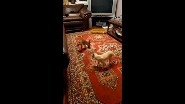 Брачные игры смотреть онлайн