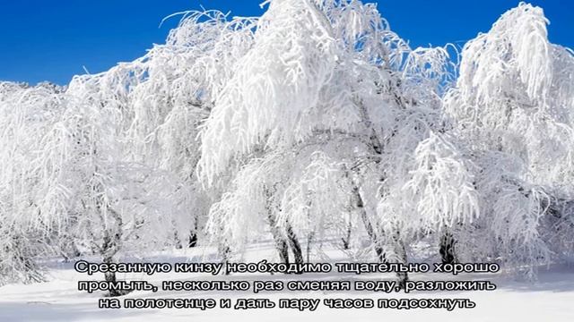 Салаты с Мандаринами