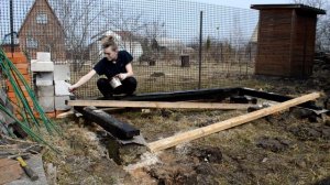 Курицы и утки на даче,  как мы завели куриц и уток